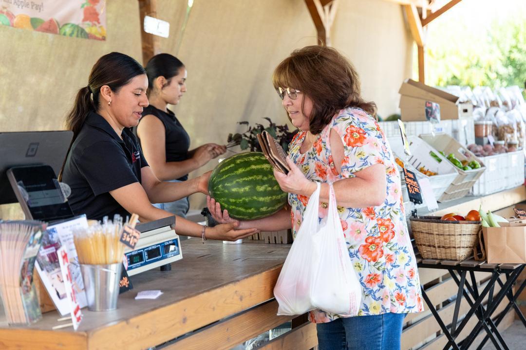 Customer purchasing a watermelon at Sweet Girl Farms
