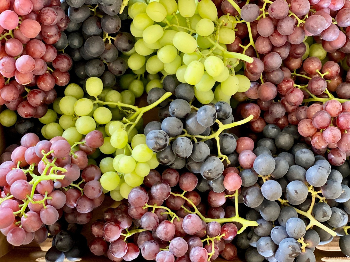 green, black and red grapes