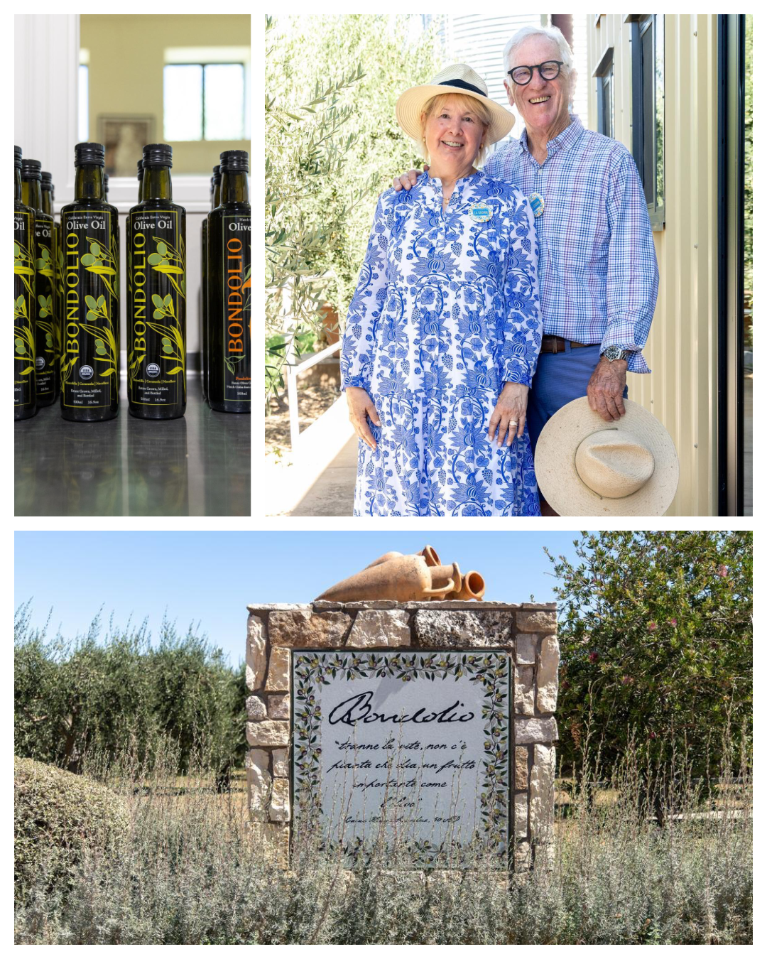 Bondolio: Good Olive Oil is Life-Changing