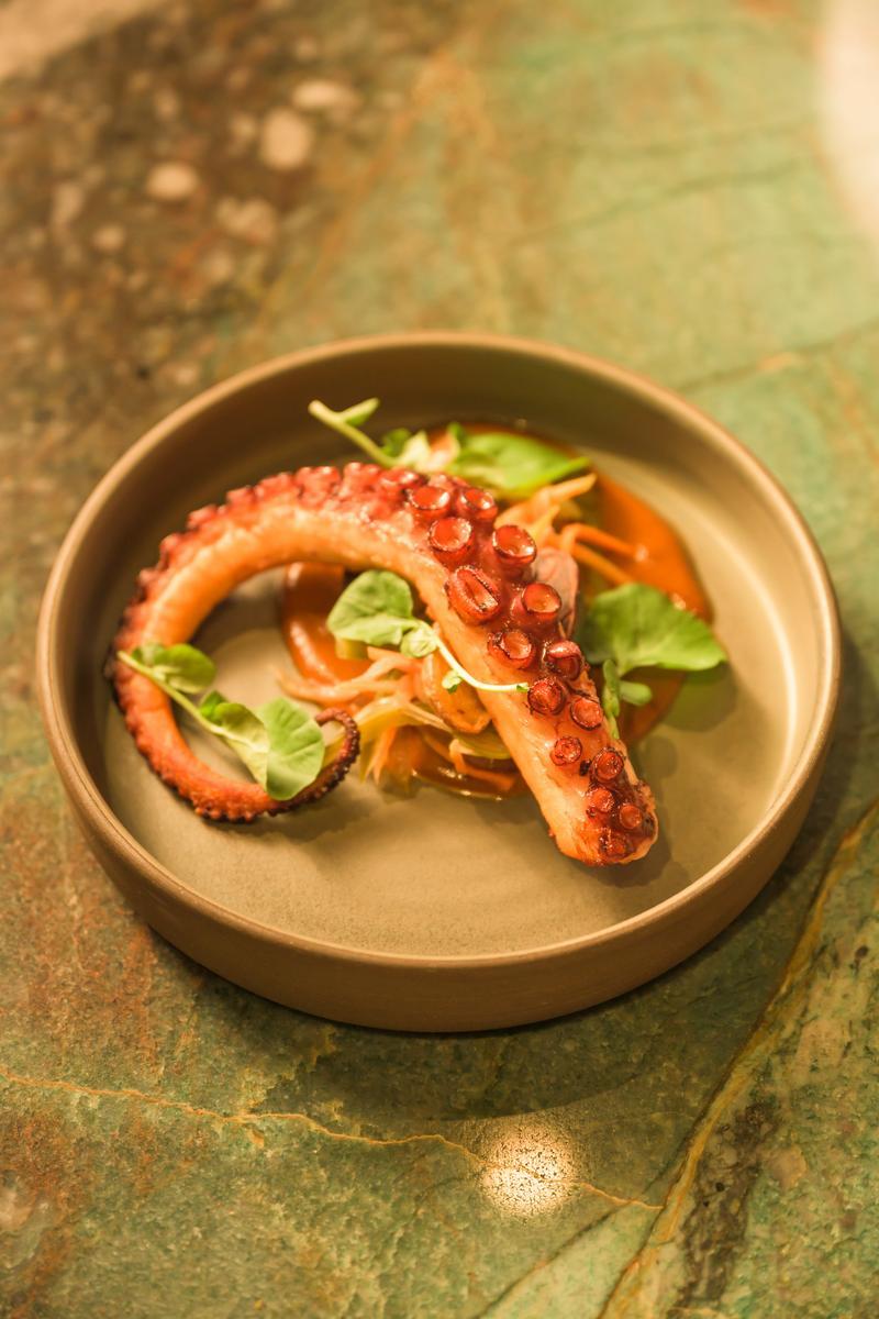 plated octopus dish at casa playa