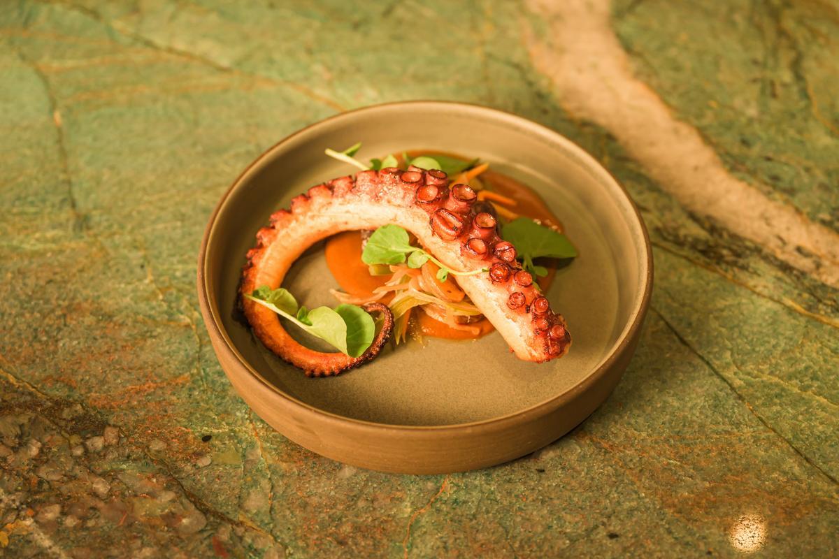 plated octopus dish at casa playa