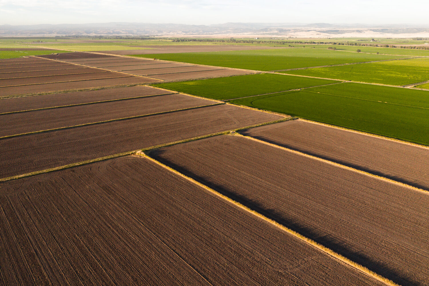 Field Prep at Lundberg Family Farms