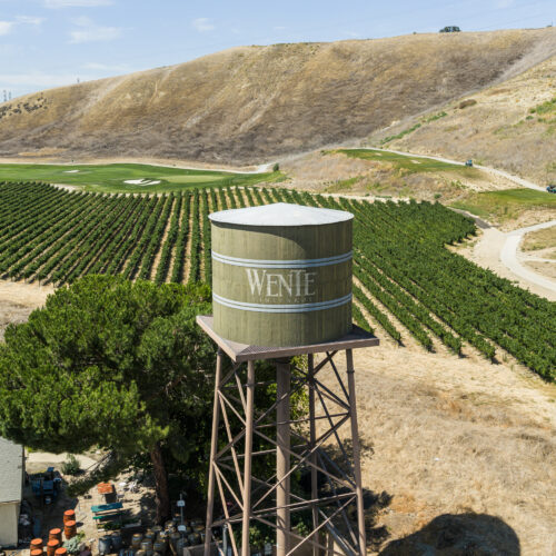 Wente Family Estates: Shaping the Story of California Wines