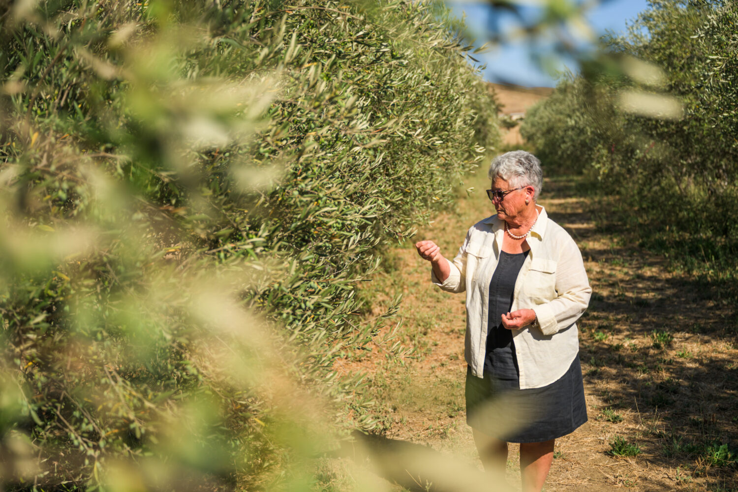 Ann Sievers walking through the olive orchard at Il Fiorello