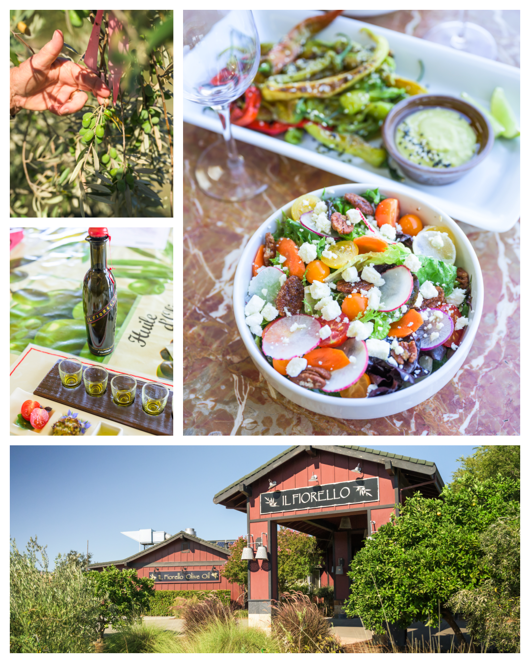 Il Fiorello: From the Farm to Your Table 