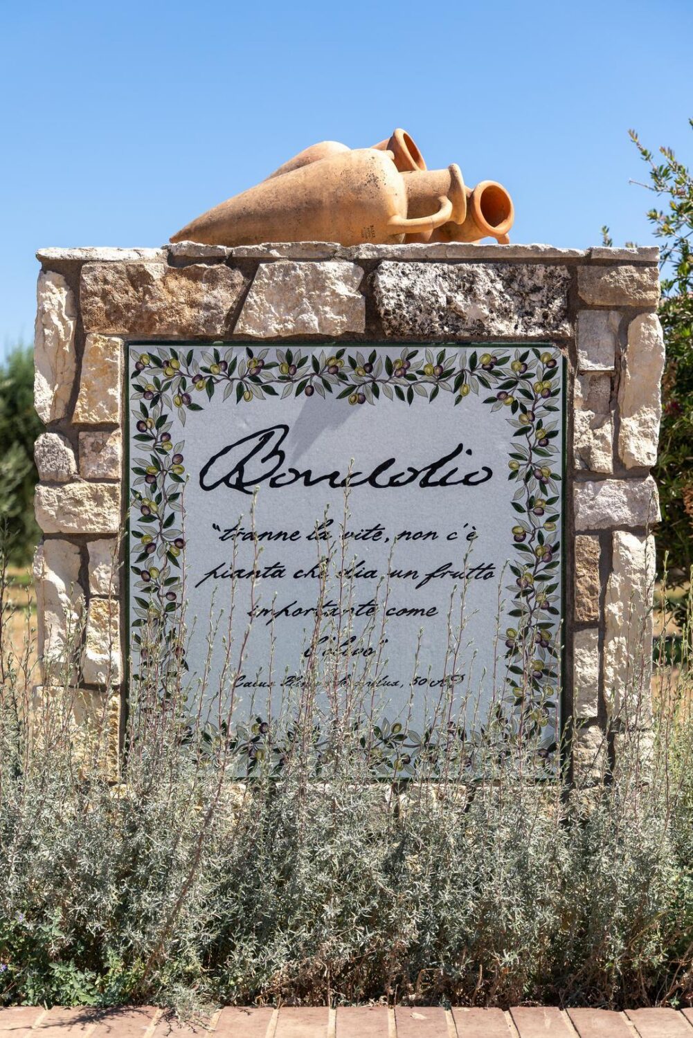 Bondolio sign at their Winters olive grove