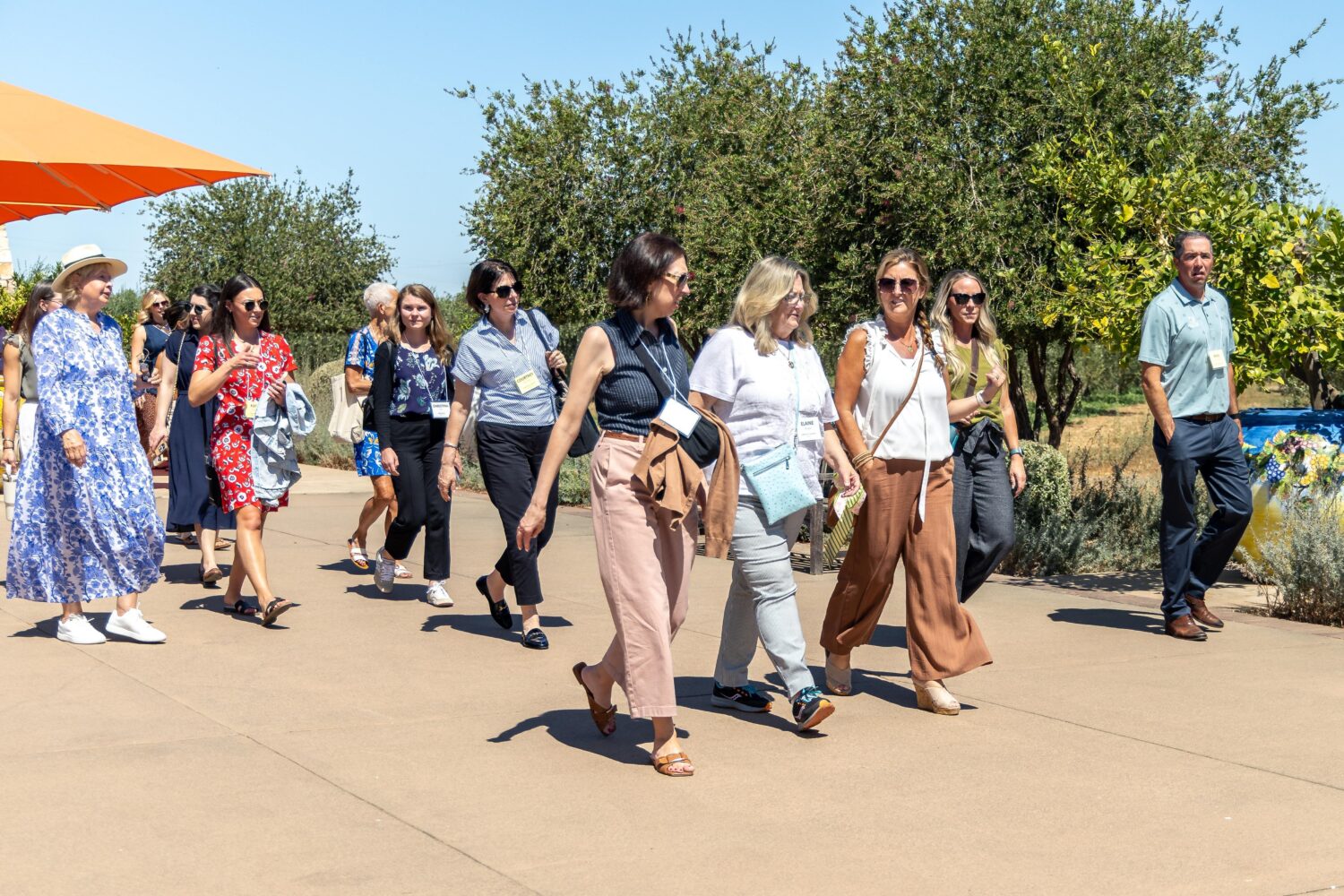 a group strolling near the olive groves at Bondolio