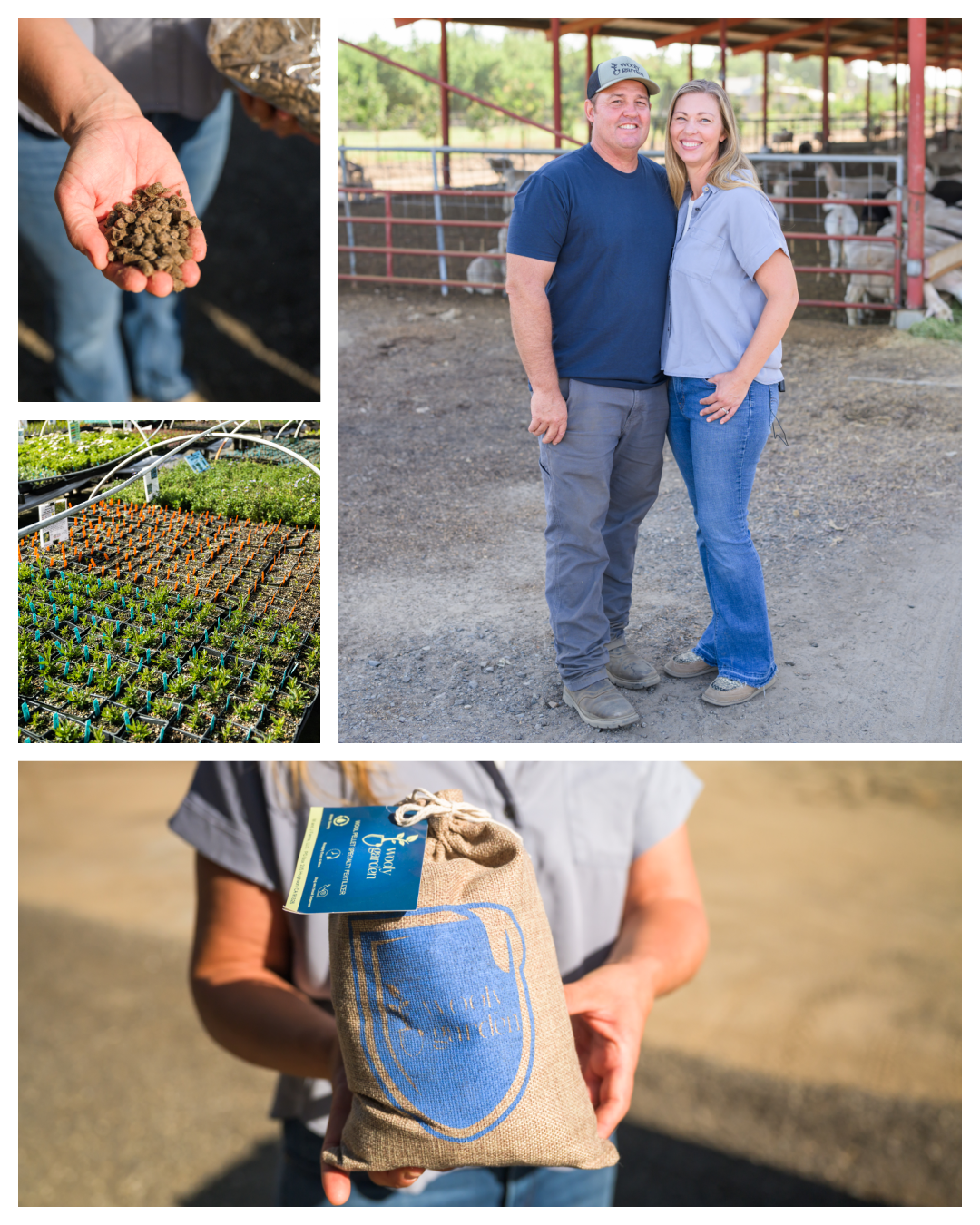Wooly Garden: Turning Agricultural Waste into a Resource